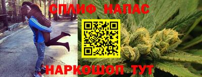 прущие грибы Комсомольск-на-Амуре
