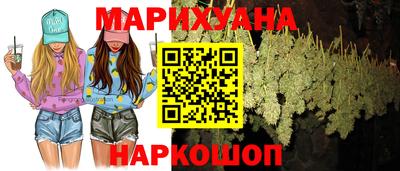 прущие грибы Комсомольск-на-Амуре