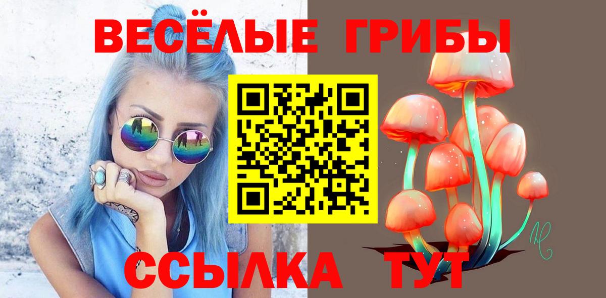 Галлюциногенные грибы Psilocybine cubensis  Вход с VPN  Псилоцибиновые грибы ЛСД  Ульяновск 